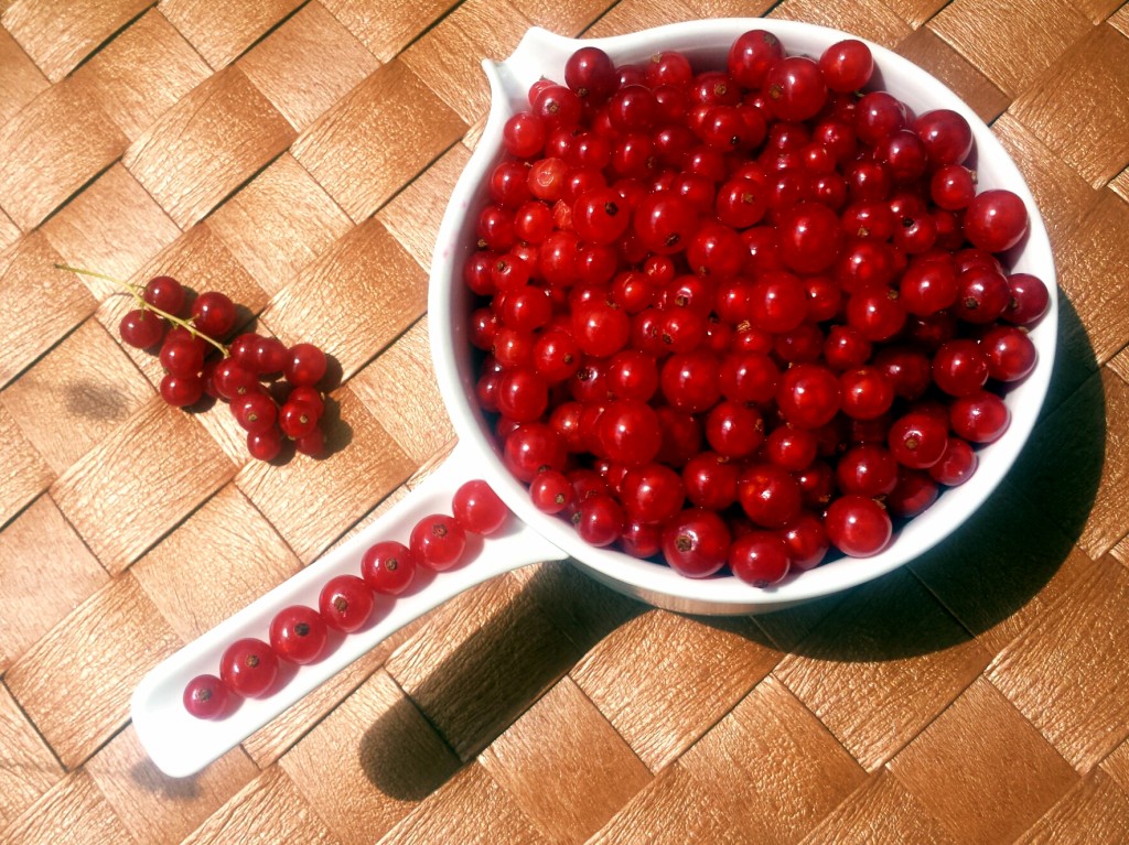 Johannisbeeren